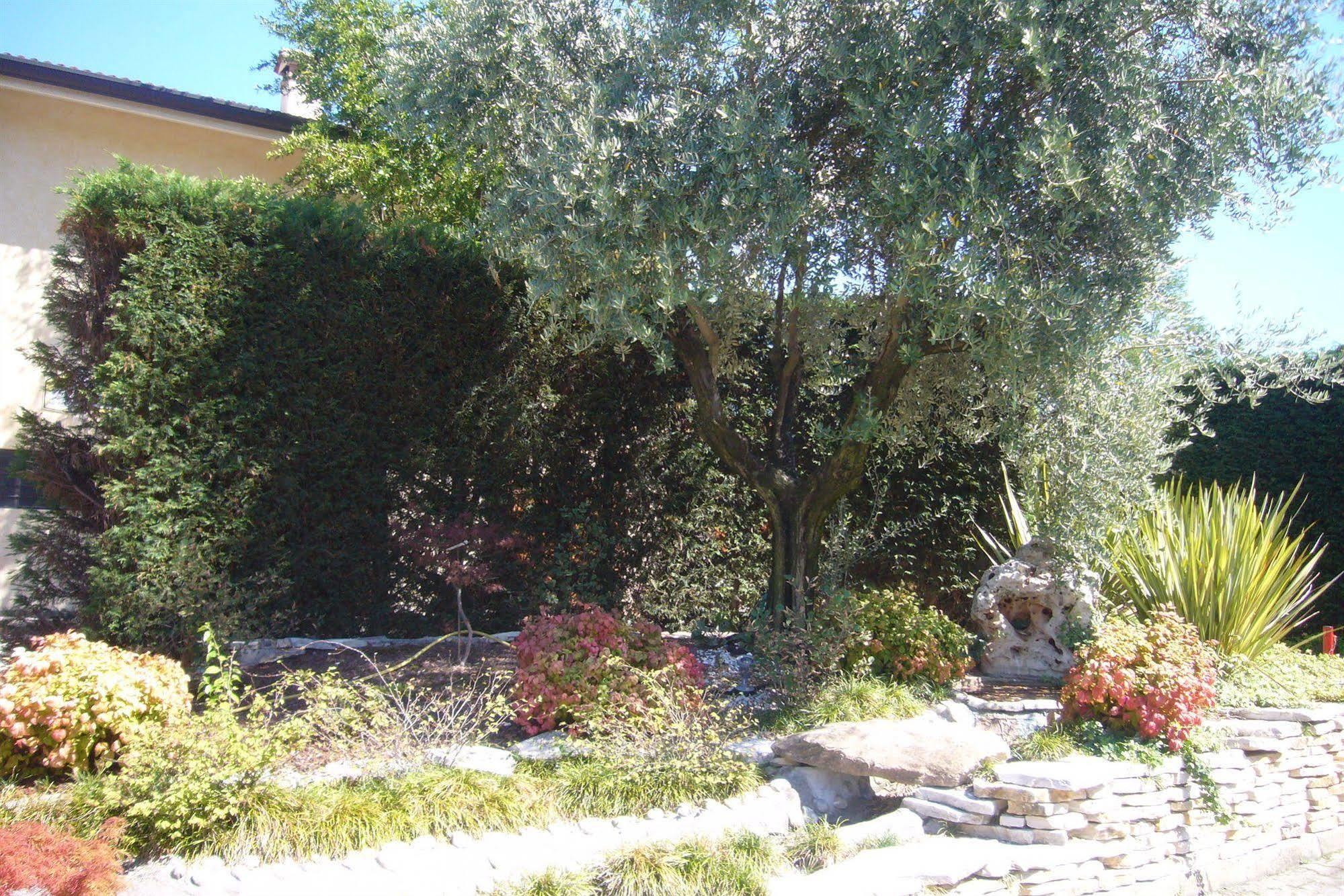 Hotel Verona 3*